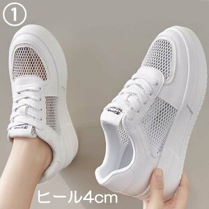 y}\ |Cg2{zXj[J[  Xj[J[ bV EFbW\[ _bh 20cm 20.5cm 21cm 21.5cm 22cm 22.5cm 23cm 23.5cm 24cm 24.5cm 25cm 25.5cm 26cm 26.5cm   TCY 傫