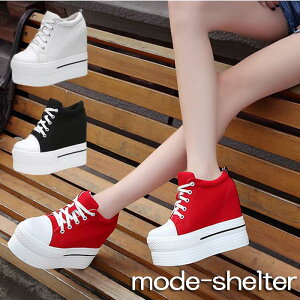 Xj[J[ y y Xj[J[ EFbW\[ EFbW nCq[ 22cm 22.5cm 23cm 23.5cm 24cm 24.5cm S M L LL    fB[X I` C ؍