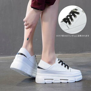 y [ L zXj[J[ y y y Ȃ Cq[ Xj[J[  EFbW\[ EFbWq[ 20cm 20.5cm 21cm 21.5cm 22cm 22.5cm 23cm 23.5cm 24cm 24.5cm 25cm fB[X TC