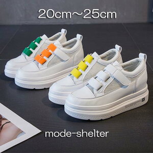 Xj[J[ Cq[ Xj[J[  EFbW\[ EFbW 20cm 20.5cm 21cm 21.5cm 22cm 22.5cm 23cm 23.5cm 24cm 24.5cm 25cm  q[ TCY 傫TCY Ȃ fB[X