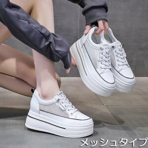 y[ ꕔ LzXj[J[  Xj[J[ bV EFbW\[  C   19.5cm 20cm 20.5cm 21cm 21.5cm 22cm 22.5cm 23cm 23.5cm 24cm 24.5cm Cq[ nCq[ fB[X