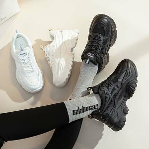 Xj[J[  _bh Xj[J[   F EFbW\[ 22cm 22.5cm 23cm 23.5cm 24cm 24.5cm 25cm R _bhV[Y _bhXj[J[ TCY fB[X