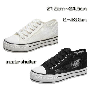 Xj[J[  [X Xj[J[ Cq[ LoX EFbW\[ EFbW C   21.5cm 22cm 22.5cm 23cm 23.5cm 24cm 24.5cm fB[X _bhXj[J[  t H TCY