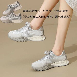 yXIXXzy [ L zXj[J[ y y  Xj[J[  EFbW\[ EFbWq[ 20cm 20.5cm 21cm 21.5cm 22cm 22.5cm 23cm 23.5cm 24cm 24.5cm TCY fB[X