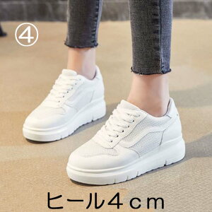 Xj[J[  Xj[J[ Cq[ _bh [Jbg   EFbW\[ 20cm 20.5cm 21cm 21.5cm 22cm 22.5cm 23cm 23.5cm 24cm 24.5cm TCY fB[X Ȃ