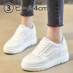 Xj[J[ bV _bhXj[J[ EFbW\[ EFbW 20cm 20.5cm 21cm 21.5cm 22cm 22.5cm 23cm 23.5cm 24cm 24.5cm 25.5cm 26cm 26.5cm  TCY 傫TCY Vv fB[X