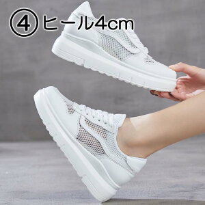 Xj[J[ bV _bhXj[J[ EFbW\[ EFbW 20cm 20.5cm 21cm 21.5cm 22cm 22.5cm 23cm 23.5cm 24cm 24.5cm 25.5cm 26cm 26.5cm  TCY 傫TCY Vv fB[X