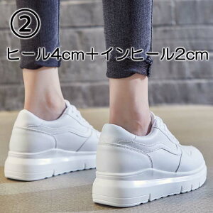 Xj[J[ bV _bhXj[J[ EFbW\[ EFbW 20cm 20.5cm 21cm 21.5cm 22cm 22.5cm 23cm 23.5cm 24cm 24.5cm 25.5cm 26cm 26.5cm  TCY 傫TCY Vv fB[X