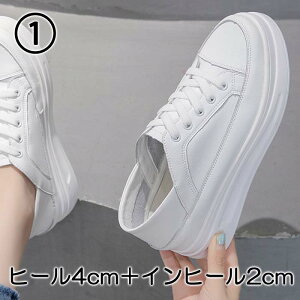 Xj[J[  Xj[J[ bV EFbW\[ _bh 20cm 20.5cm 21cm 21.5cm 22cm 22.5cm 23cm 23.5cm 24cm 24.5cm 25cm 25.5cm 26cm 26.5cm  TCY 傫TCY