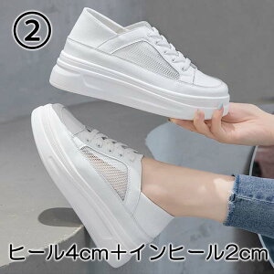 Xj[J[  Xj[J[ bV EFbW\[ _bh 20cm 20.5cm 21cm 21.5cm 22cm 22.5cm 23cm 23.5cm 24cm 24.5cm 25cm 25.5cm 26cm 26.5cm  TCY 傫TCY