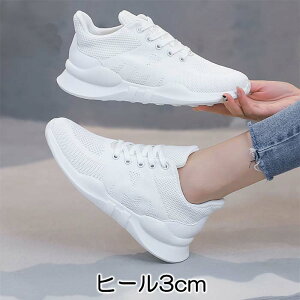 Xj[J[  Xj[J[ bV EFbW\[ ɂȂ fB[X 20cm 20.5cm 21cm 21.5cm 22cm 22.5cm 23cm 23.5cm 24cm 24.5cm 25cm 25.5cm 26cm 26.5cm   TCY 傫TCY