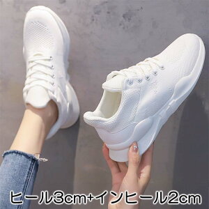 Xj[J[  Xj[J[ bV EFbW\[ ɂȂ fB[X 20cm 20.5cm 21cm 21.5cm 22cm 22.5cm 23cm 23.5cm 24cm 24.5cm 25cm 25.5cm 26cm 26.5cm   TCY 傫TCY