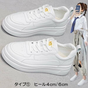 Xj[J[  Xj[J[ bV EFbW\[ _bh 20cm 20.5cm 21cm 21.5cm 22cm 22.5cm 23cm 23.5cm 24cm 24.5cm 25cm 25.5cm 26cm 26.5cm   TCY 傫TCY