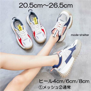 Xj[J[  Xj[J[ bV EFbW\[ _bh 20cm 20.5cm 21cm 21.5cm 22cm 22.5cm 23cm 23.5cm 24cm 24.5cm 25cm 25.5cm 26cm 26.5cm   TCY 傫TCY