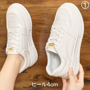 Xj[J[  Xj[J[ bV EFbW\[ _bh 20cm 20.5cm 21cm 21.5cm 22cm 22.5cm 23cm 23.5cm 24cm 24.5cm 25cm 25.5cm 26cm 26.5cm   TCY 傫TCY