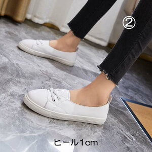 Xj[J[  Xj[J[ bV EFbW\[ _bh 20.5cm 21cm 21.5cm 22cm 22.5cm 23cm 23.5cm 24cm 24.5cm 25cm 25.5cm 26cm 26.5cm   TCY 傫TCY