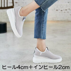 yubNtCf[ |Cg2{×N[|LzXj[J[  Xj[J[ bV EFbW\[ _bh 20cm 20.5cm 21cm 21.5cm 22cm 22.5cm 23cm 23.5cm 24cm 24.5cm   TCY 傫T