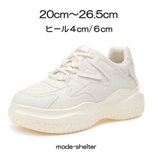 Xj[J[  Xj[J[ bV EFbW\[ _bh 20cm 20.5cm 21cm 21.5cm 22cm 22.5cm 23cm 23.5cm 24cm 24.5cm 25cm 25.5cm 26cm 26.5cm  fB[X TCY 傫TCY