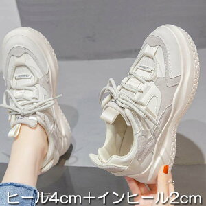 Xj[J[  Xj[J[ bV EFbW\[ _bh 20cm 20.5cm 21cm 21.5cm 22cm 22.5cm 23cm 23.5cm 24cm 24.5cm 25cm 25.5cm 26cm 26.5cm  fB[X TCY 傫TCY