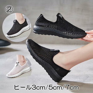 Xj[J[  Xj[J[ bV ƂȂ ou[V EFbW\[ _bh 20.5cm 21cm 21.5cm 22cm 22.5cm 23cm 23.5cm 24cm 24.5cm   TCY fB[X