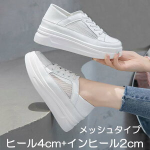 y撅100l  10OFFN[|zzzXj[J[  Xj[J[ bV EFbW\[ _bh 20cm 20.5cm 21cm 21.5cm 22cm 22.5cm 23cm 23.5cm 24cm 24.5cm 25cm 25.5cm 26cm 26.5cm  TCY 
