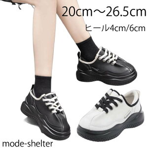 Xj[J[  Xj[J[ EFbW\[ _bh 20cm 20.5cm 21cm 21.5cm 22cm 22.5cm 23cm 23.5cm 24cm 24.5cm 25cm 25.5cm 26cm 26.5cm    TCY 傫TCY