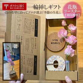 一輪挿し フラワーギフトセット 名入れコースター付き プレゼント 生花 花瓶 ガラス 試験管 インテリア 母の日 お祝い 贈り物 おしゃれ 可愛い メッセージカード 送料無料