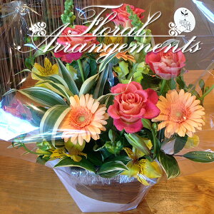 yzԂ̃AWg@ԑ@55@t[Mtg@t[AWg@v[g TvCY j a LO ̓@LO@j@ސEj@N