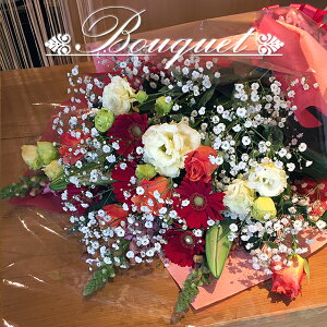 yzԂ̃u[P@ԑ@70@t[Mtg@t[AWg@v[g TvCY j a LO ̓@LO@j@ސEj@N@ʉ