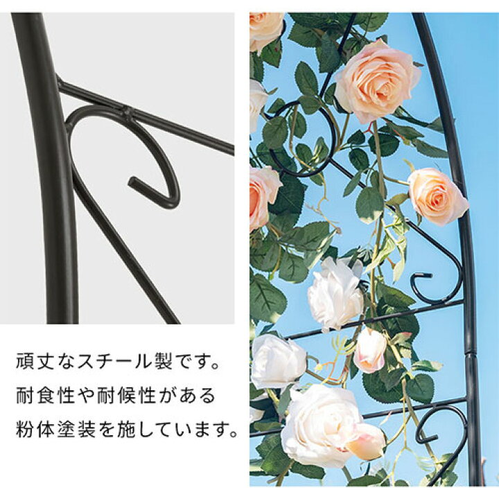 楽天市場】ガーデンアーチ ローズアーチ クレマチス ガーデニング つる 