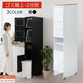 キッチン ゴミ箱 スリム 2段 収納 目隠し ラック 40L 45L 約 幅30 奥行50 高さ180 おしゃれ 分別 大容量 ごみ箱 木製 薄型 縦 収納ラック 分別ゴミ箱 ふた付き 扉 キャスター ホワイト/グレー/ブラック 【組立品/完成品が選べる】 DTB600103