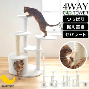Lbgc[ u^ V ς莮 Lbg^[ 4WAY L^[ X   ybg nEX L ^s ܂Ƃ Ђ |[ Xebv ^ Wv Lbg }V