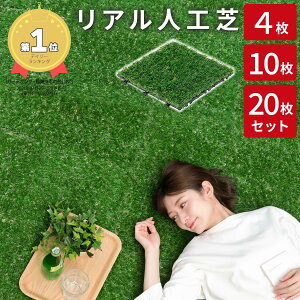 人工芝 ジョイントの通販 価格比較 価格 Com