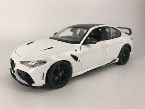 zbggCY@1/18 At@I WA GTAm 2020(zCg)zbggCY@BUR14484