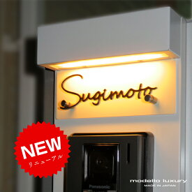 【ご注文後の図案確認あり！】表札 ステンレス【エクリチュール プチ】3mm厚 ネームプレート 戸建て 機能門柱 マンションおしゃれ 切り文字 ローマ字 アルファベット小さいサイズ 国内生産 日本製