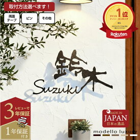 ＼クーポン配布中！／【ご注文後の図案確認あり！】表札 ステンレス【ラ・モード リザーラ】【スピード配送】3mm厚 5mm厚 アイアン調 ネームプレート 戸建て おしゃれ 切り文字 ローマ字 漢字 国内生産 日本製