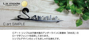 表札【Cartseriesシンプル】筆ステンレスアイアン調表札おしゃれ