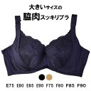 ブラジャー 育乳 単品ブラジャー 下着 女性 ブラ ブラジャー 谷間 育成 脇高 脇肉 ブラ セクシー 痛くない レディース 育乳ブラ いくにゅうぶら いくにゅう 育乳 盛れるブラ 寄せ 上げ　E75 E80 E85 E90 F75 F80 F85 F90 新生活 応援 セット