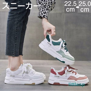 Xj[J[  3.5cm fB[X JWA EH[LOV[Y Ȃ Ȃ r  ʋ ʊw l lGKp U  [Jbg