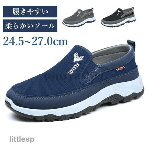 Xj[J[ Y C Xb| yʃXj[J[  X|[c ʋC EH[LOV[Y XPV[ JWAV[Y ʋ ʊw