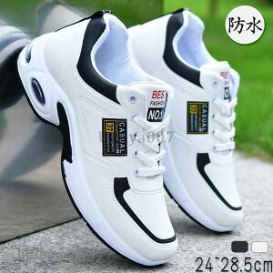 Xj[J[ Y h  y Jp jp hV[Y Ռz ʊw^C 