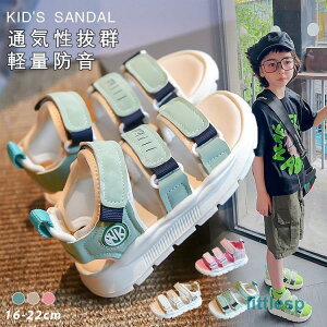 qT_  K[Y X|[cT_ LbY ̎q r[`T_ JWA qC AEghA qV[Y }WbNe[v C v[ 16-22cm