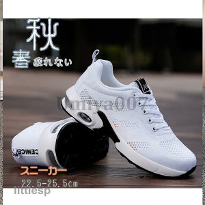 Xj[J[ fB[X C X|[cV[YV[Y ~ 20 3040 ₷ Ȃ ɂȂ ʋC Vv ʋ ʊw  2023V