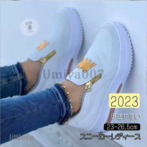 Xj[J[ fB[X  C X|[cV[Y V[Y ~ r r ₷ Ȃ ɂȂ Vv ʋ ʊw  2023V