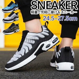 Xj[J[ Y Xj[J[ EH[LOV[Y Y  ^C jO V[Y Ȃ y ʊw ʋ 