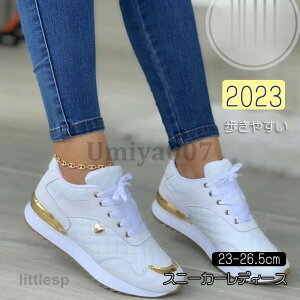 Xj[J[ fB[X  C X|[cV[Y V[Y ~ r r ₷ Ȃ ɂȂ Vv ʋ ʊw  2023V