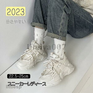 Xj[J[ fB[X  C X|[cV[Y V[Y ~ r r ₷ Ȃ ɂȂ Vv ʋ ʊw  2023V