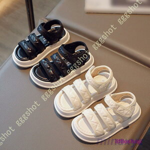 y T_ LbY r[` X|[c fB[XV[Y T_ JWAT_  Jt ₷  ̎q X|[cT_