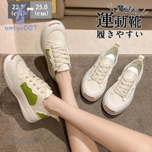 Xj[J[ X|[c fB[X EH[LO  [Jbg V[Y Xb| ^C ʊw ʋ Ȃ JWA jO ɂ