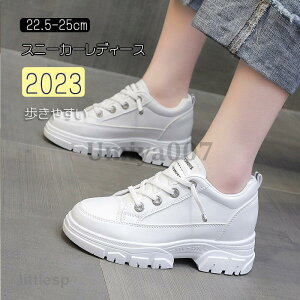 Xj[J[ fB[X  C X|[cV[Y V[Y ~ r r ₷ Ȃ ɂȂ Vv ʋ ʊw  2023V